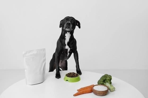 Как правильно рассчитать дневную норму питания для собаки в зависимости от ее веса