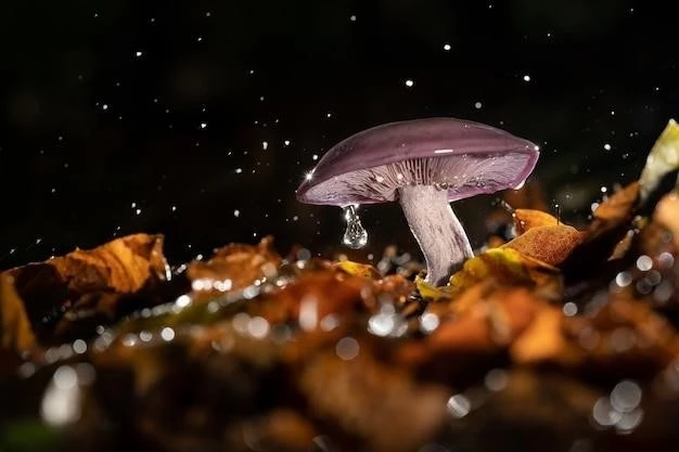Ледяной гриб: явление природы или сказочный образ?